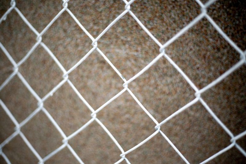 Chain Link Fence Replacement in Sacramento, CA