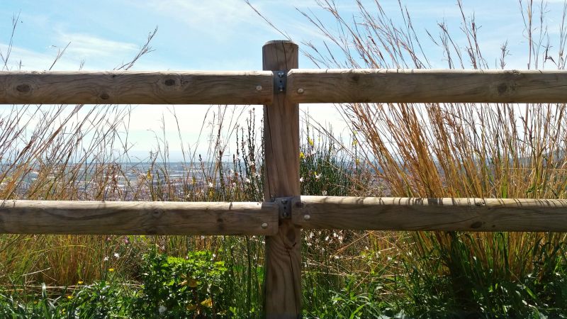 Wooden Dog Fence Installation in Pearland, TX